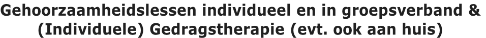 Gehoorzaamheidslessen individueel en in groepsverband &
(Individuele) Gedragstherapie (evt. ook aan huis) 